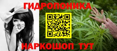 шишки Первоуральск