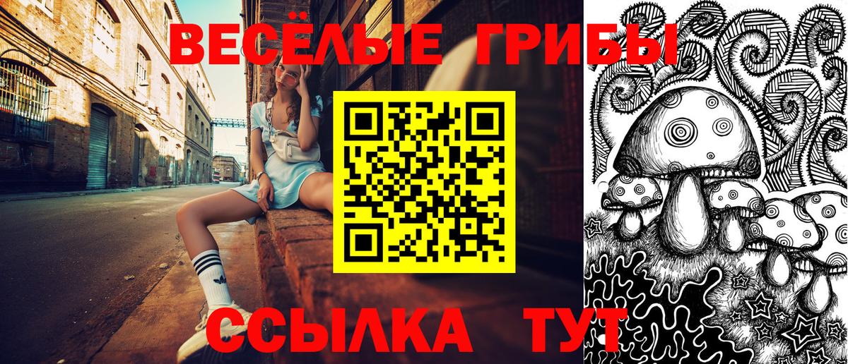 Галлюциногенные грибы Psilocybe Саратов