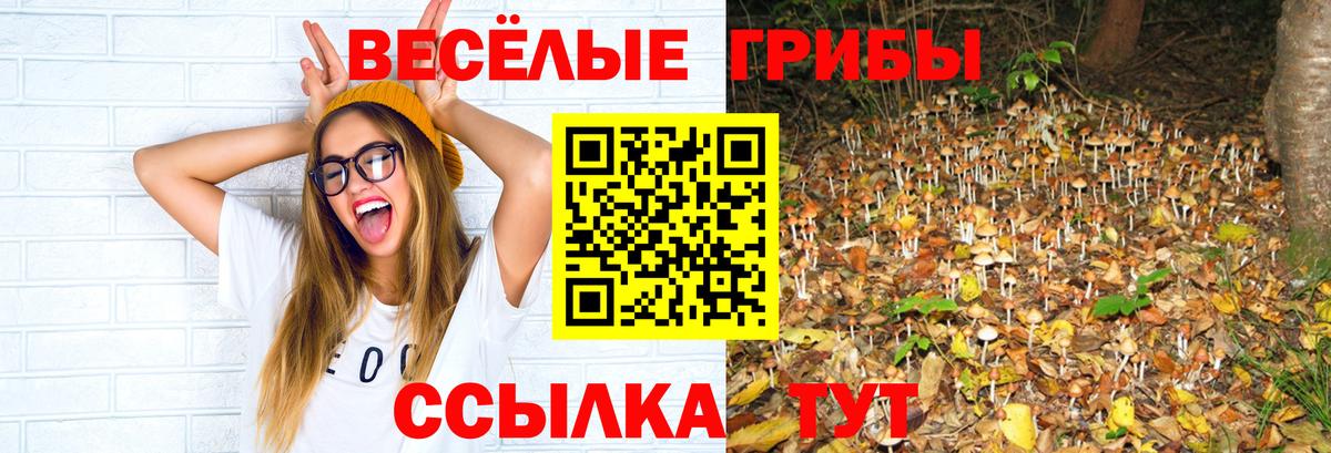 Мефедрон   ГАШИШ  Саратов  ГАШИШ  А ПВП СК   Вход с VPN  COCAIN  МАРИХУАНА  АМФЕТАМИН кристаллы 