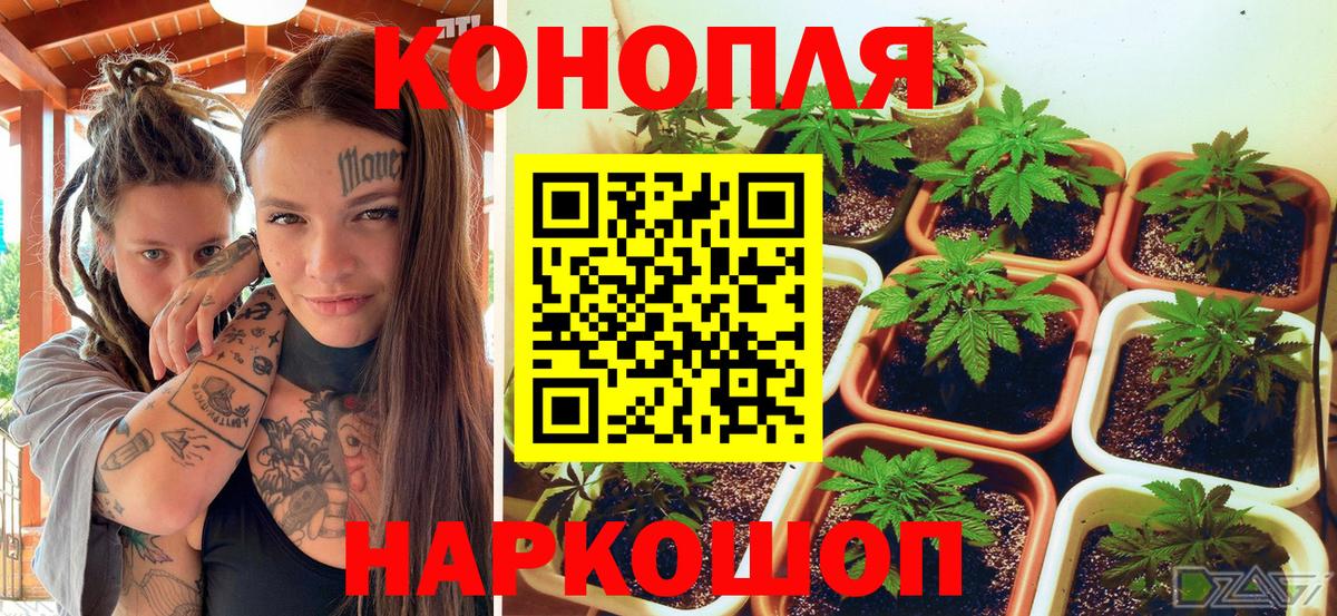 Каннабис AK-47  Шишки марихуана сатива  Каннабис тримм  Вход с VPN  Саратов 